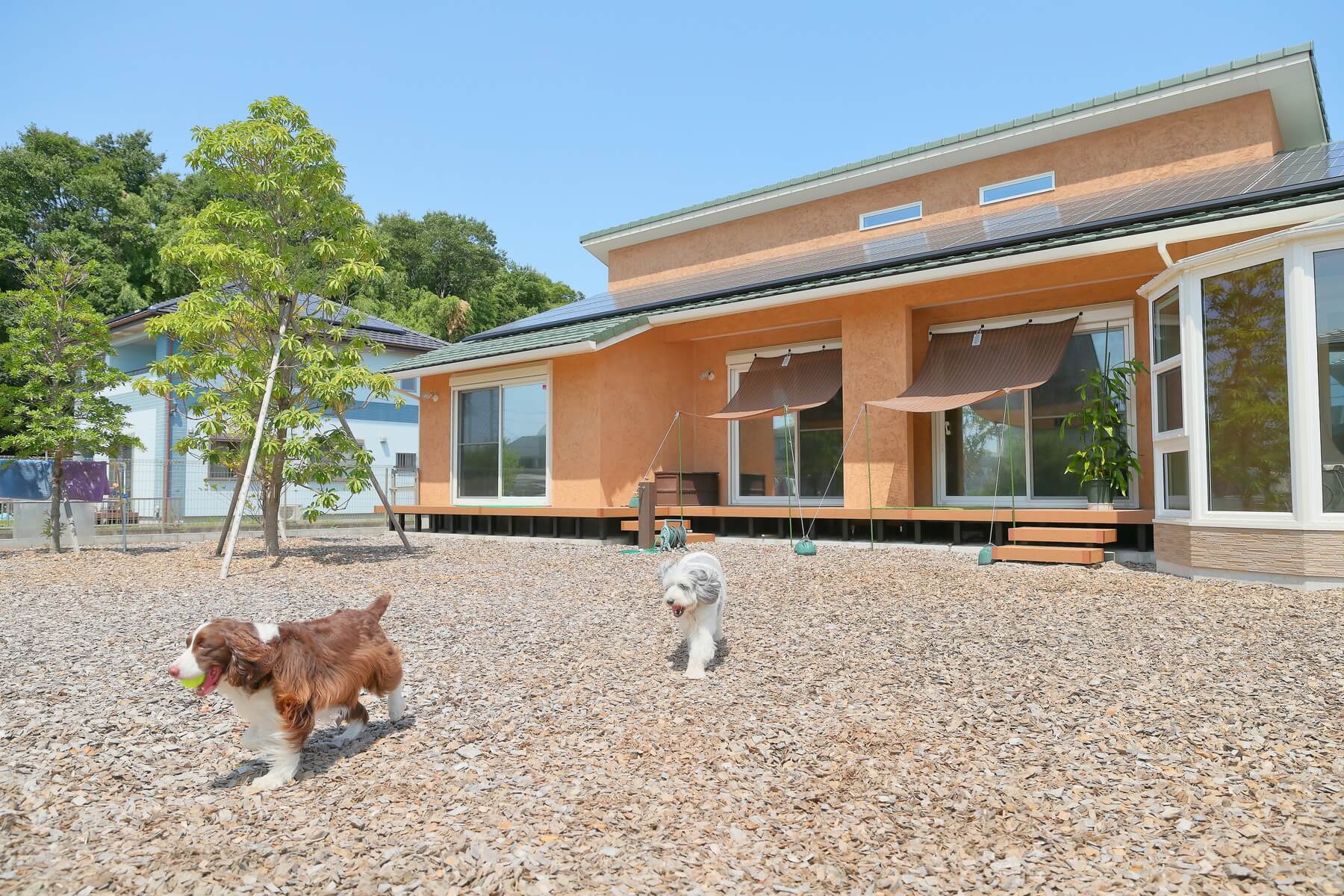 犬と暮らす家を建てるなら平屋がおすすめ! メリットや間取りのポイントまで | 後悔しない平屋選び|伊賀市・名張市 注文住宅3社徹底比較